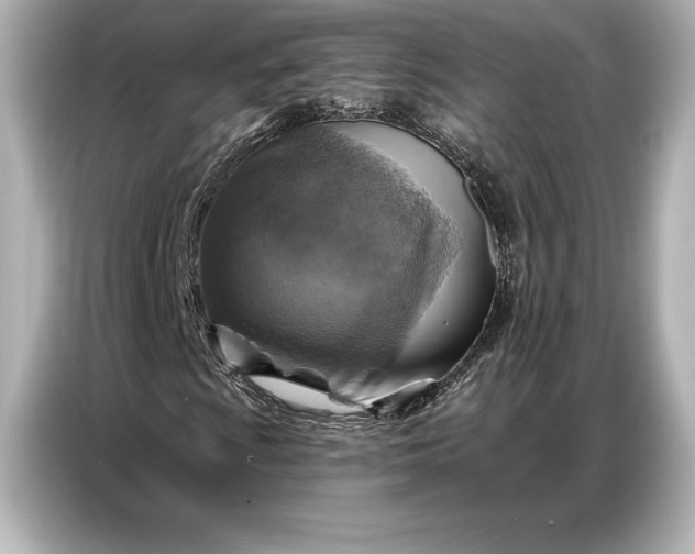 X0000086881009200704300932