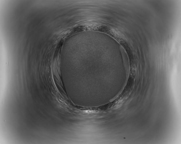 X0000086881010200704300932