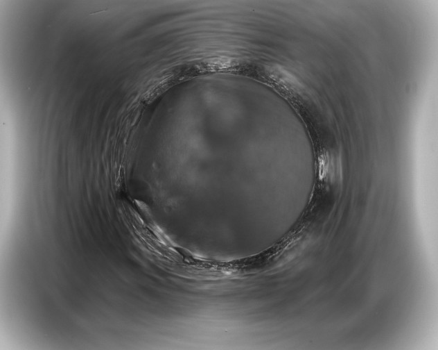 X0000086881011200704300932