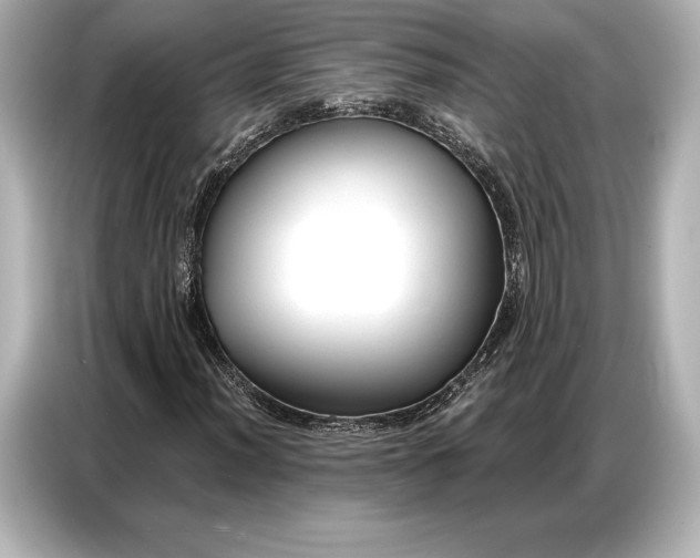 X0000086881012200704300932