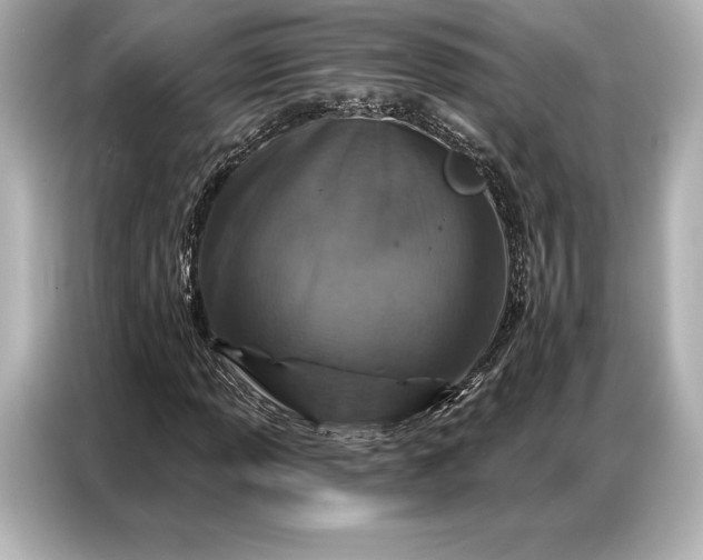 X0000086881013200704300932