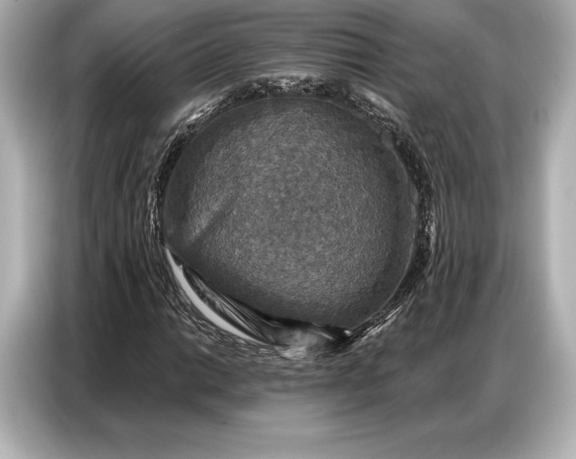 X0000086881014200704300932