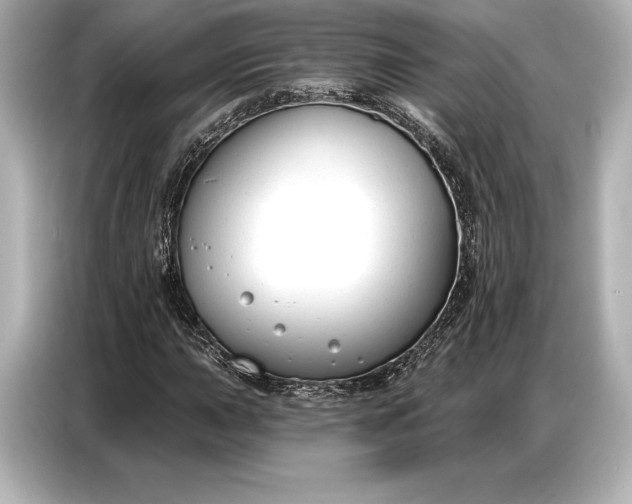 X0000086881015200704300932