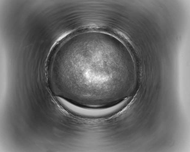 X0000086881018200704300932