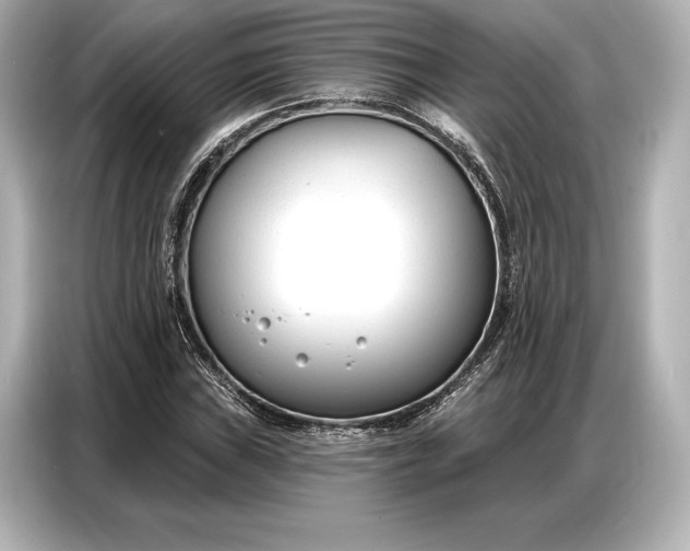 X0000086881019200704300932