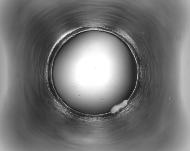 X0000086881020200704300932