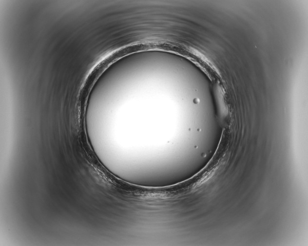 X0000086881021200704300932