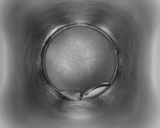 X0000086881023200704300932