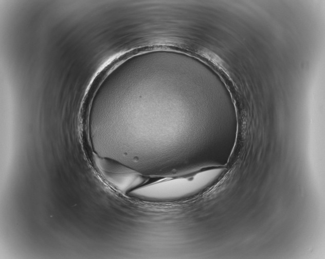 X0000086881024200704300932