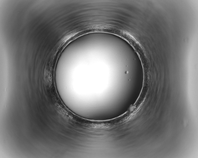 X0000086881025200704300933