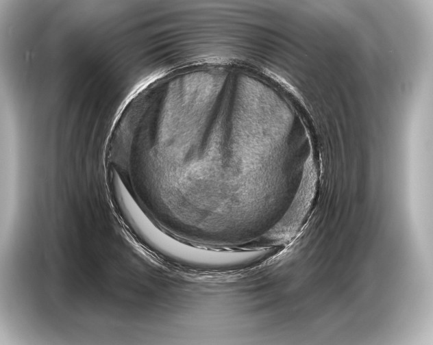 X0000086881026200704300933