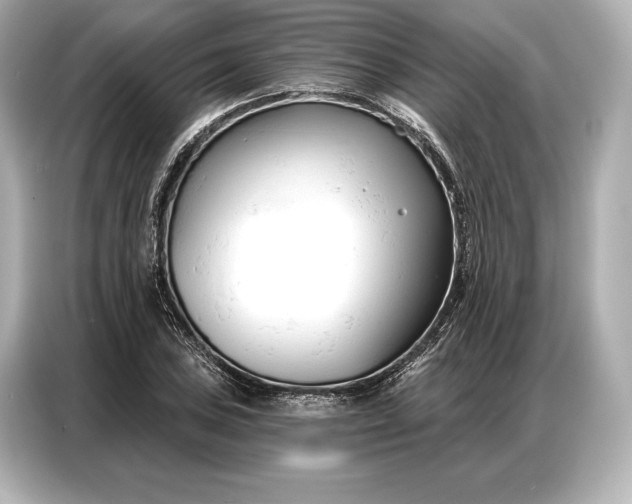 X0000086881027200704300933