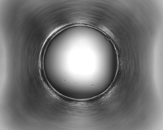 X0000086881028200704300933