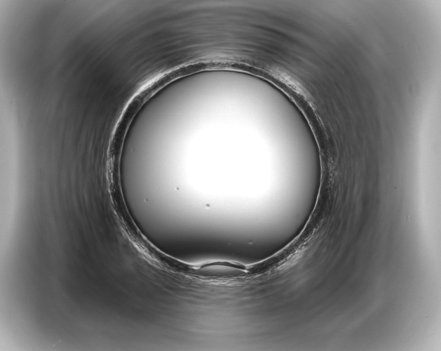 X0000086881029200704300933