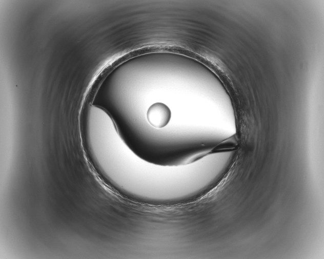 X0000086881030200704300933