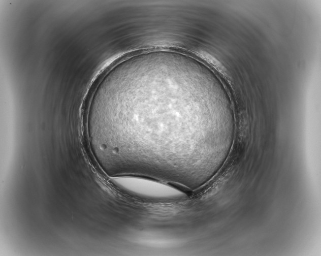 X0000086881031200704300933