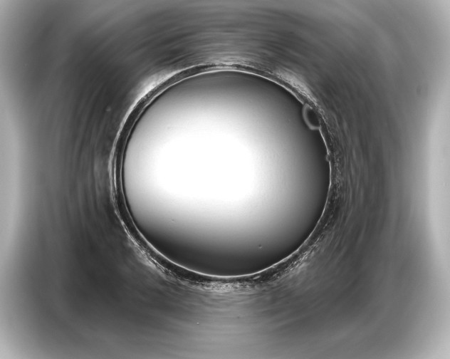 X0000086881032200704300933