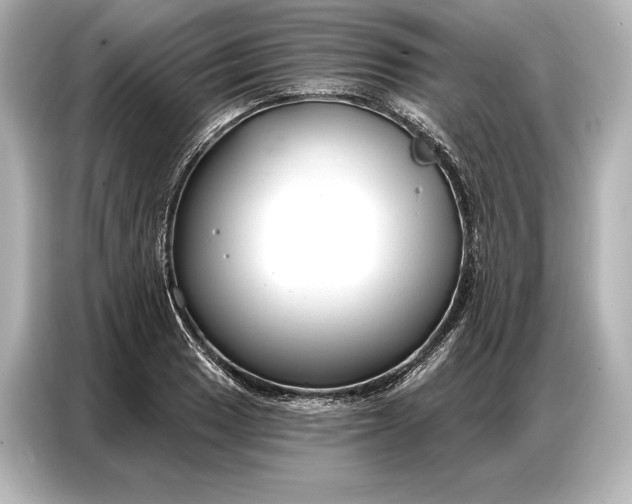 X0000086881033200704300933