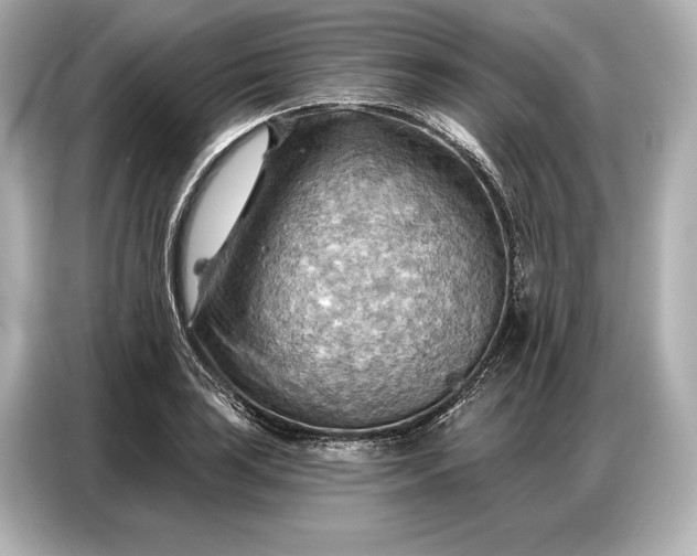 X0000086881035200704300933