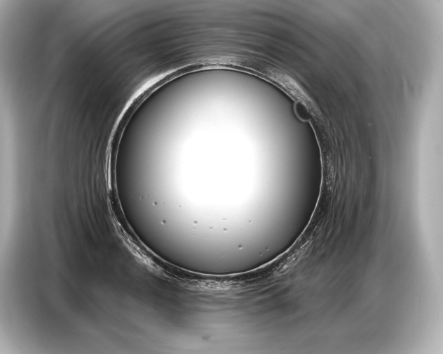 X0000086881036200704300933