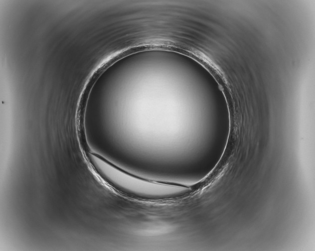 X0000086881037200704300933