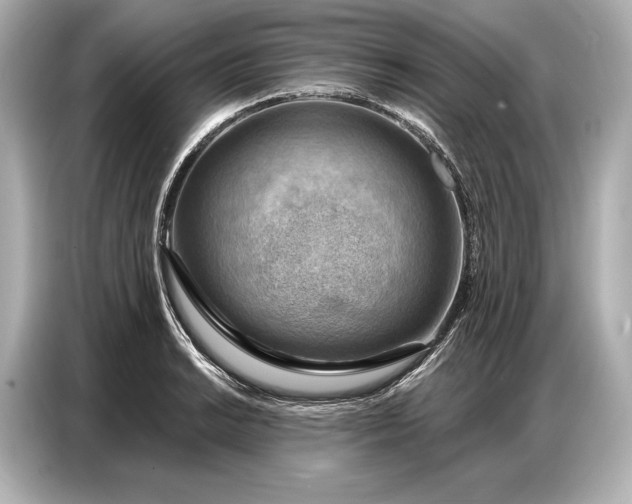 X0000086881038200704300933