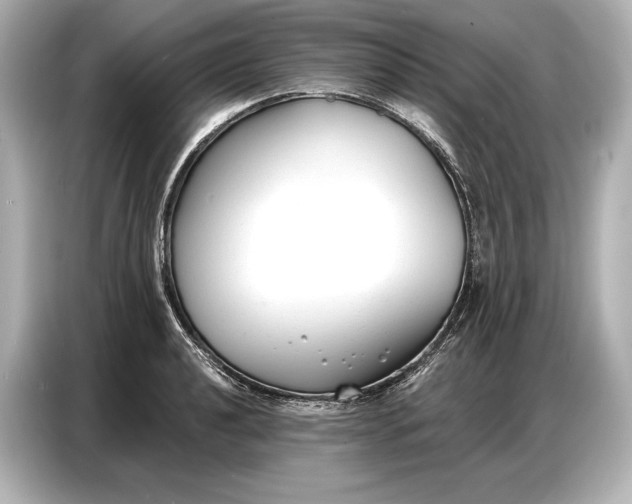 X0000086881040200704300933