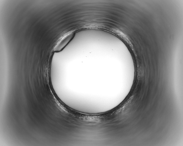 X0000086881041200704300933