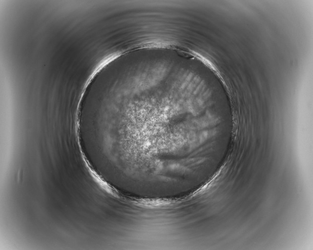 X0000086881042200704300933