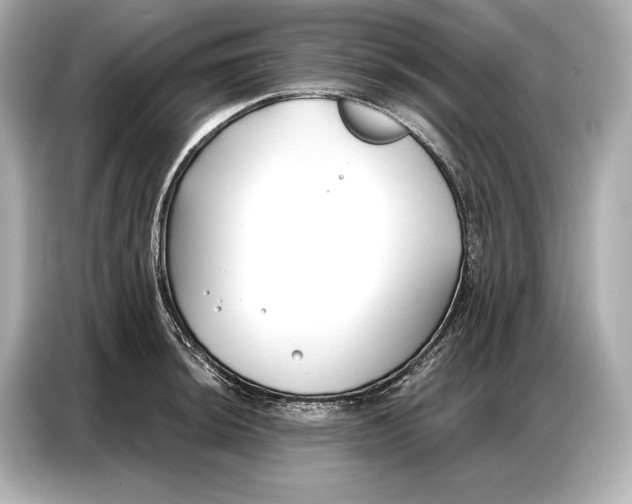 X0000086881044200704300933