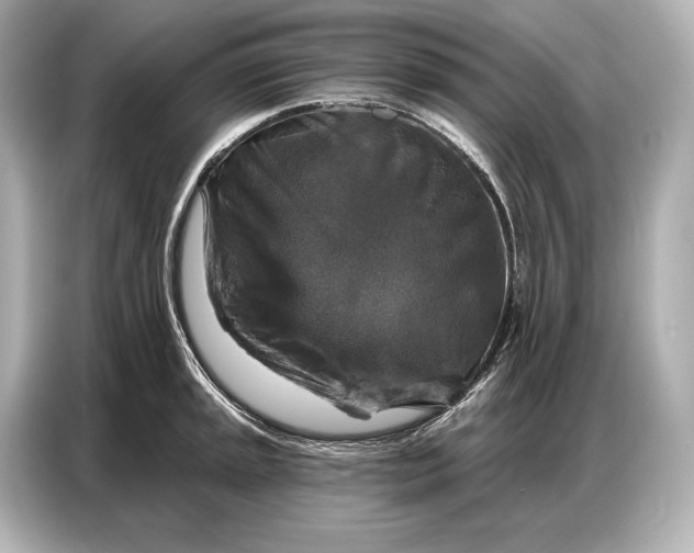 X0000086881045200704300933