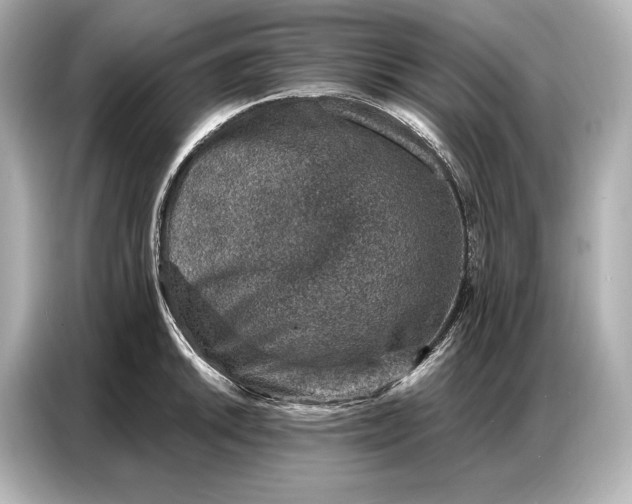 X0000086881046200704300933