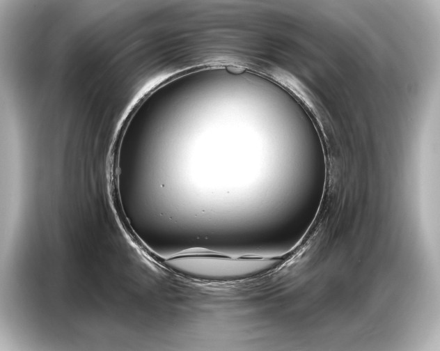 X0000086881048200704300933