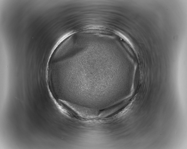 X0000086881050200704300933