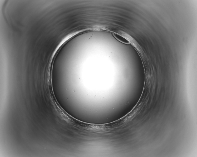 X0000086881052200704300933