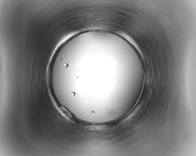 X0000086881053200704300933