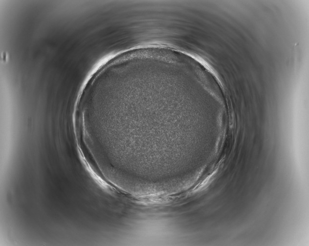 X0000086881054200704300933