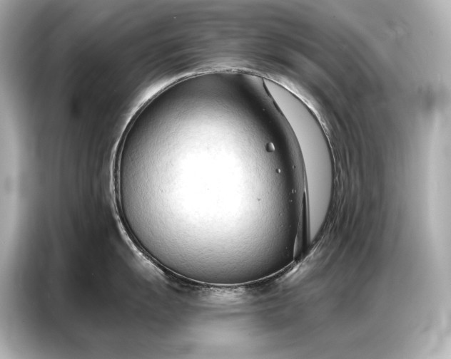 X0000086881055200704300933