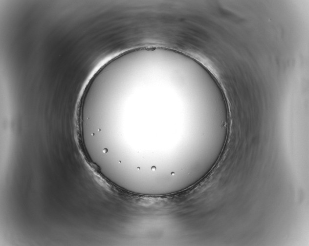 X0000086881056200704300933