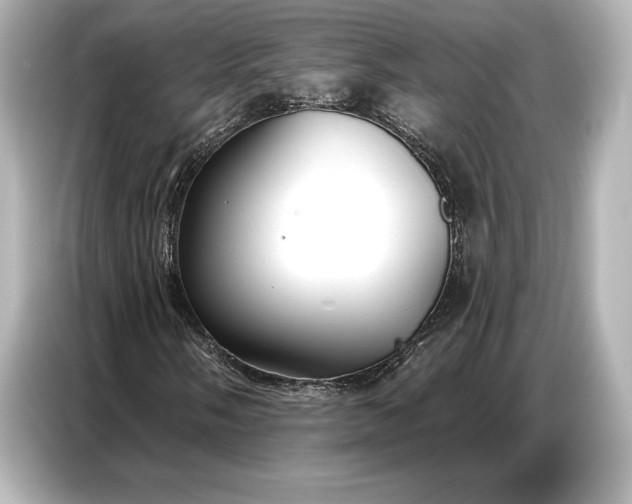 X0000086881058200704300932