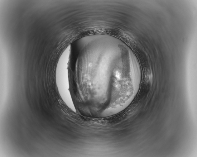 X0000086881060200704300932