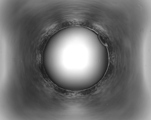 X0000086881061200704300932