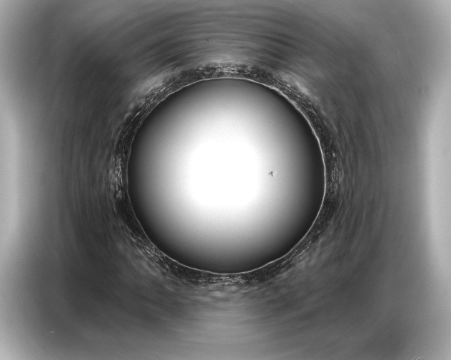 X0000086881062200704300932