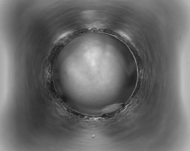 X0000086881063200704300932