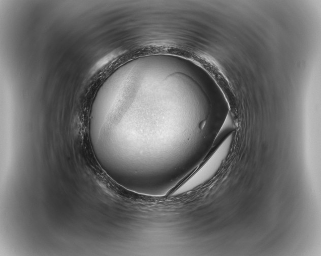 X0000086881064200704300932