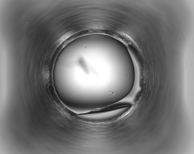 X0000086881065200704300932