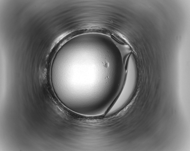 X0000086881066200704300932