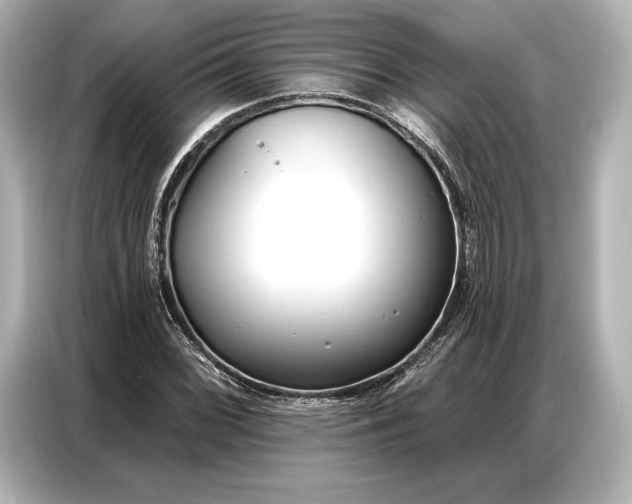 X0000086881068200704300932