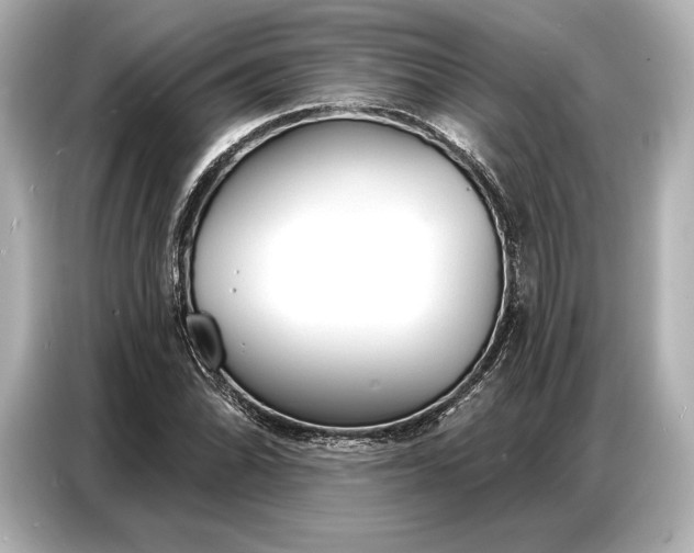 X0000086881070200704300932