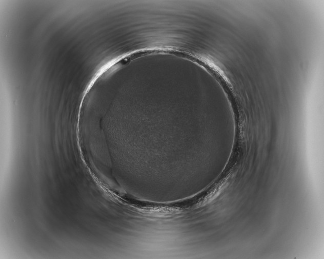 X0000086881077200704300932